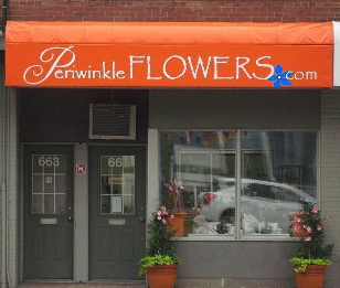 Storefront | Toronto flower shop Periwinkle Flowers